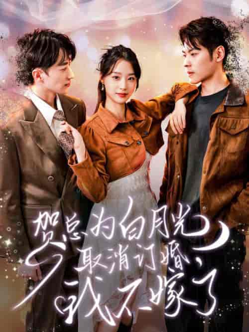 贺总为白月光取消订婚，我不嫁了（105集全）王小亿 - 傲图好剧