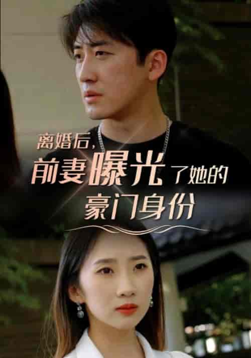 离婚后，前妻曝光了她的豪门身份（100集全）叶明辰＆楚若离 - 傲图好剧