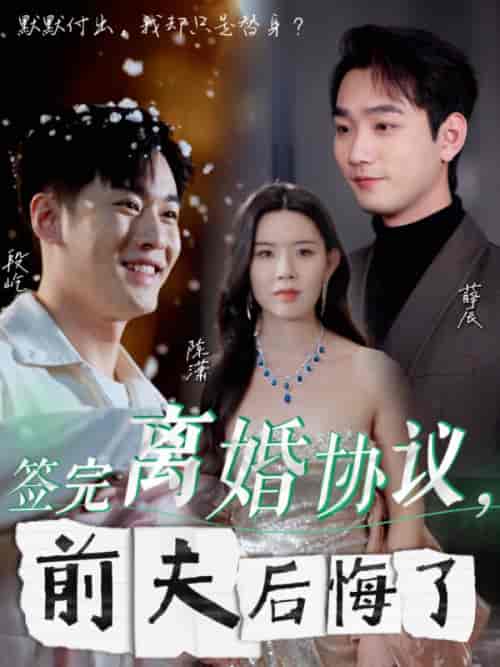 签完离婚协议前夫后悔了（31集全） - 傲图好剧