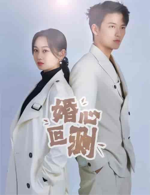 婚心叵测 小长篇 - 傲图好剧