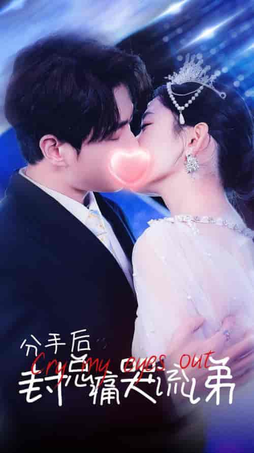 分手后封总痛哭流涕（64集全） - 傲图好剧