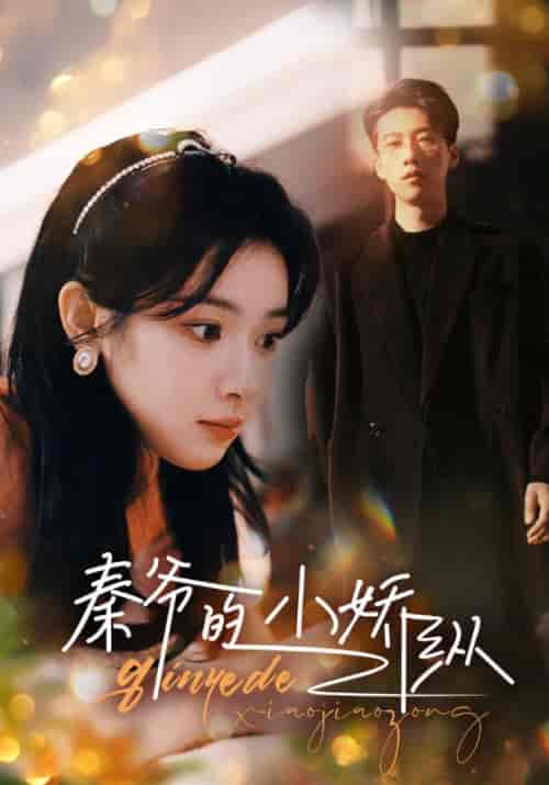 秦爷的小娇纵 秦爷的小娇纵