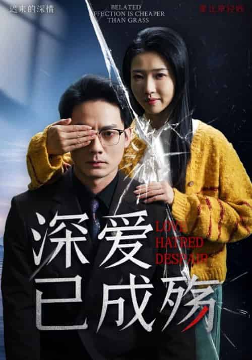 深爱已成殇（52集全）程泽章＆张启璇 - 傲图好剧