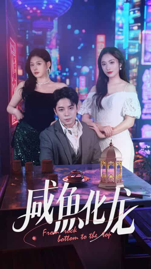 咸鱼化龙（30集全）丁敬一＆生宸 - 傲图好剧