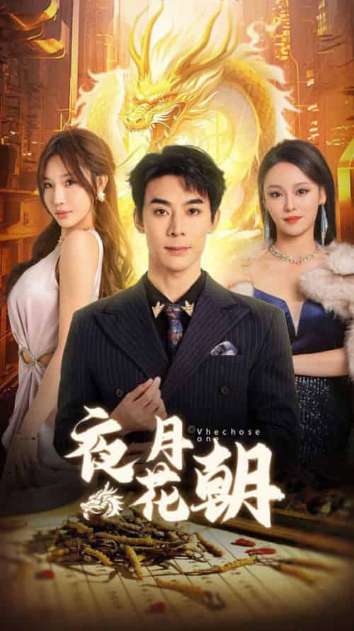 夜月花朝（30集全） - 傲图好剧