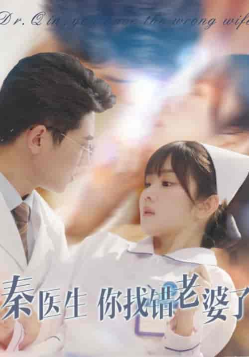 秦医生你找错老婆了（34集全）秦淮之＆元诺 - 傲图好剧