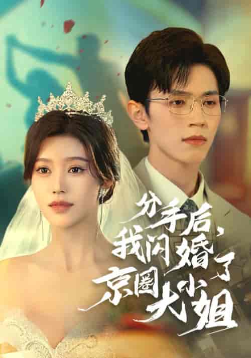 分手后，我闪婚了京圈大小姐（37集全）陆云川＆严梦涵 - 傲图好剧