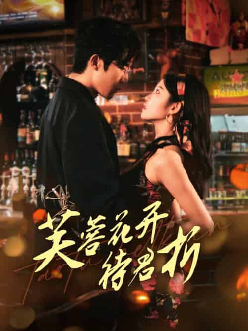 芙蓉花开待君折（75集全）张北淅＆刘盈 - 傲图好剧