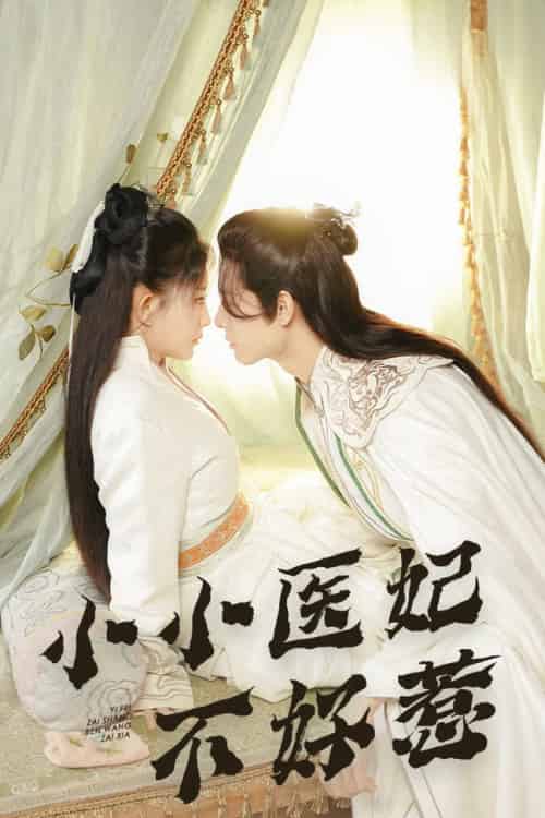 小小医妃不好惹（59集全） - 傲图好剧