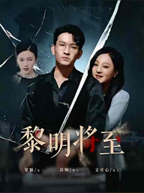 黎明将至（61集全）王已歌 - 傲图好剧