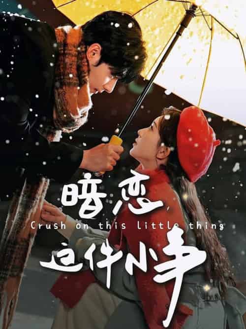 暗恋这件小事（100集全）孟佳辉＆诗越越 - 傲图好剧