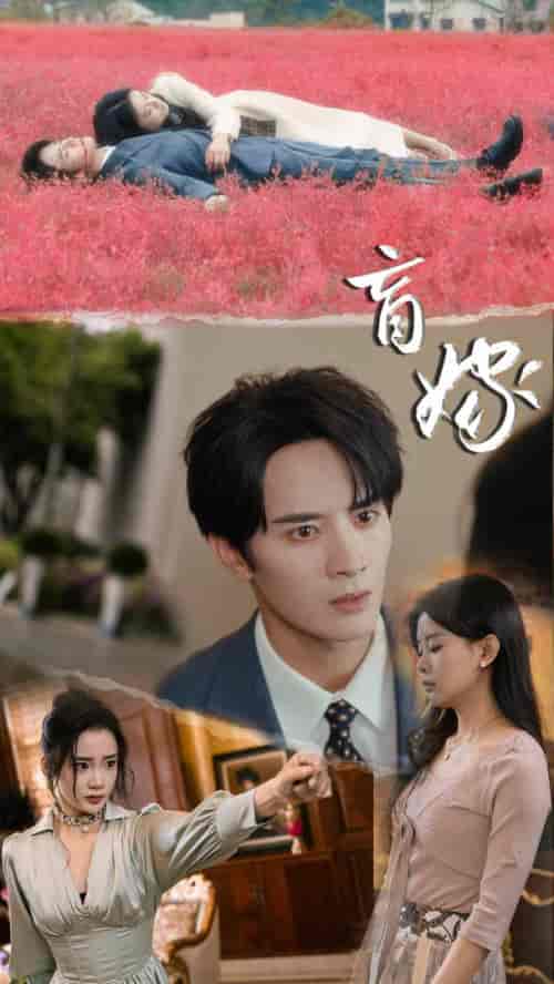 盲嫁（74集）陈冠峄＆陆姝含 - 傲图好剧