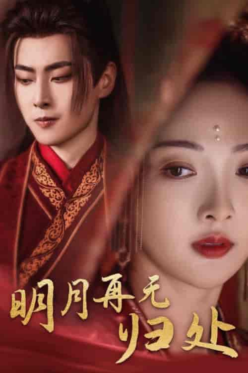 明月再无归处（39集全）展轩＆丁果 - 傲图好剧