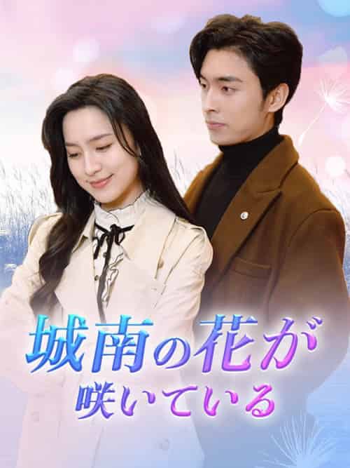 城南の花が咲いている（92集全）傅林深＆程心 - 傲图好剧