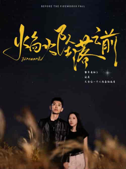 焰火坠落之前（99集全）辛润茜 - 傲图好剧