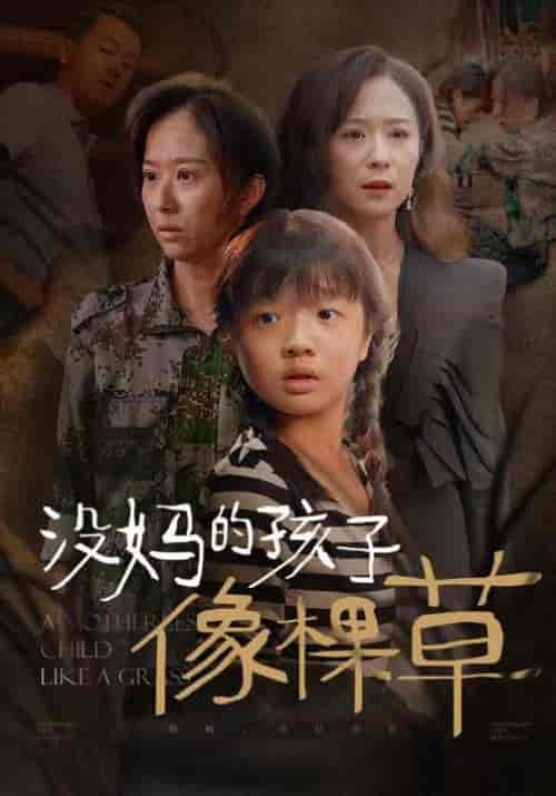 没妈的孩子像棵草（50集全） - 傲图好剧