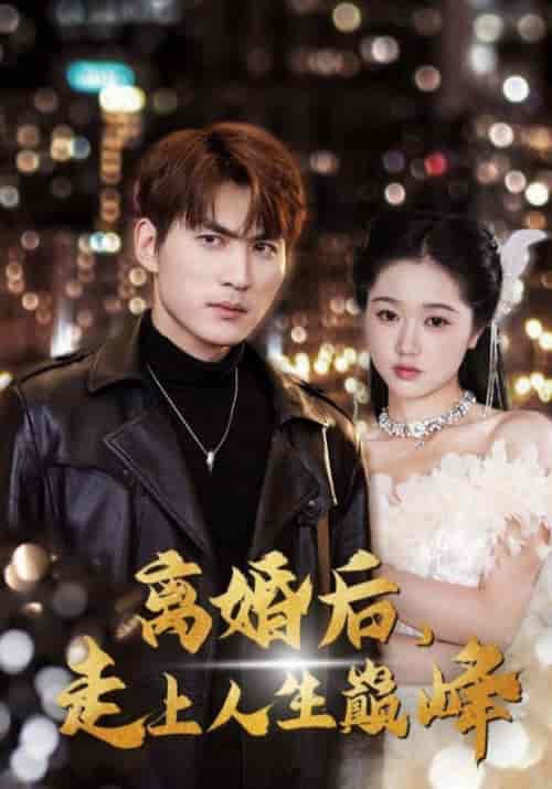 离婚后，走上人生巅峰（100集全）宁凡＆夏婉柔 - 傲图好剧