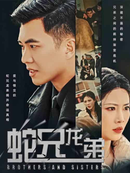蛇兄龙弟（60集全）王漫漫 - 傲图好剧