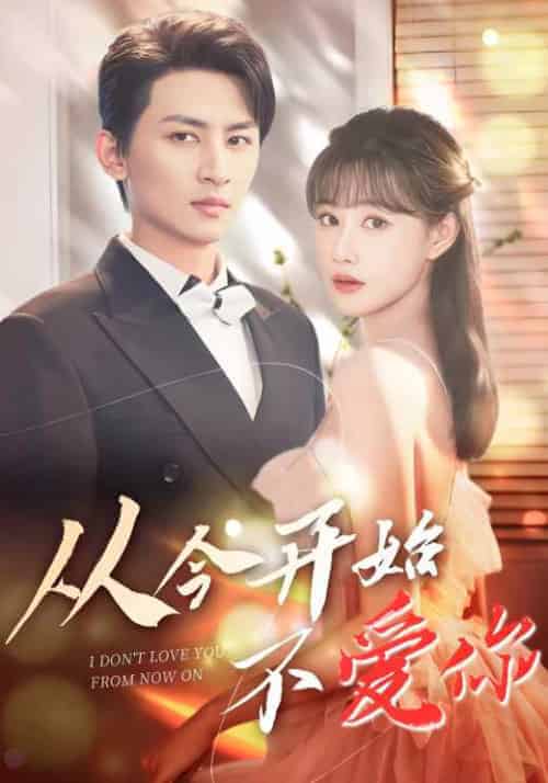 从今开始不爱你（80集全）陈天泽＆苏雅 - 傲图好剧