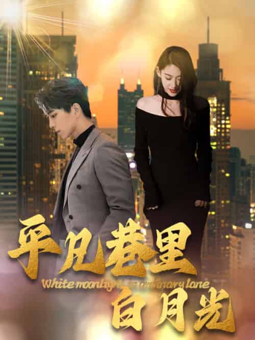 平凡巷里白月光（33集全） - 傲图好剧