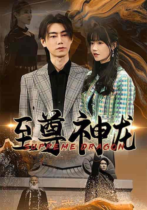 至尊神龙（90集全）萧南＆江夏 - 傲图好剧