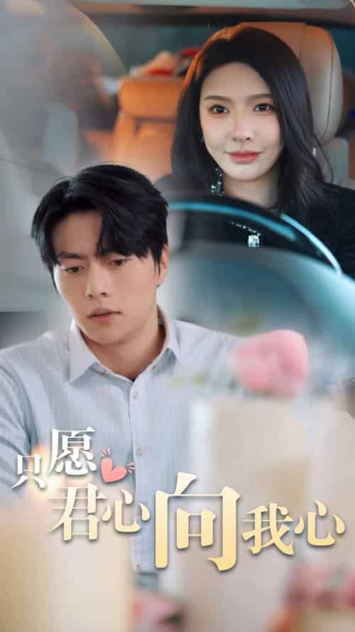 只愿君心向我心（31集全）张磊 - 傲图好剧