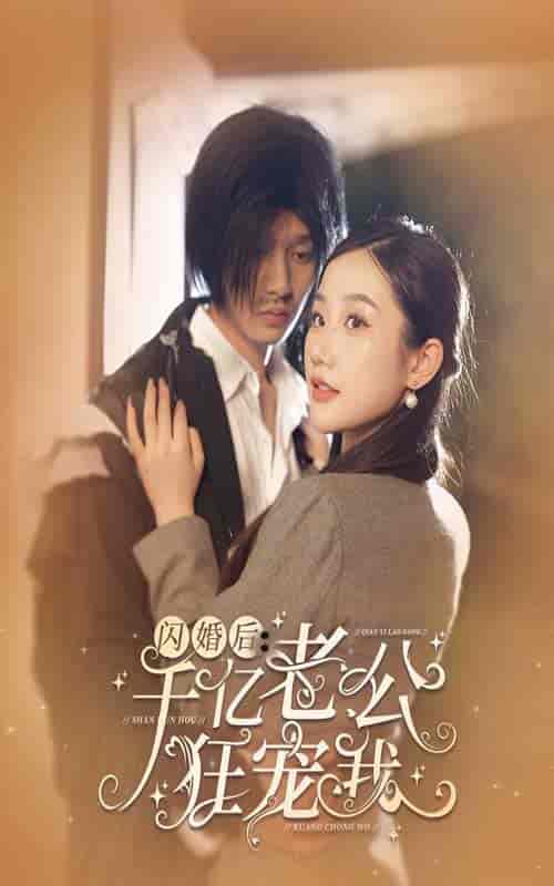 闪婚后，千亿老公狂宠我（78集） - 傲图好剧