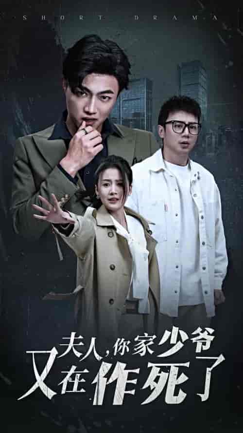 夫人你家少爷又在作死了（30集全） - 傲图好剧