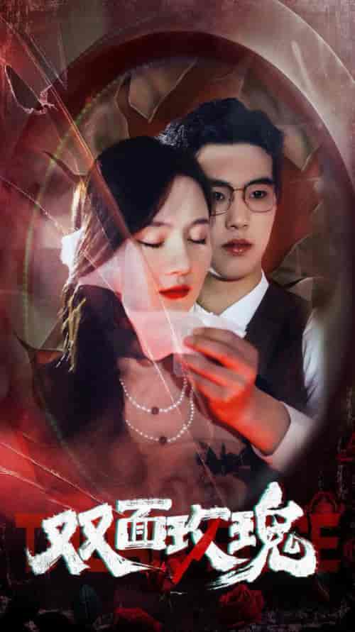 双面玫瑰 双面玫瑰
