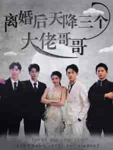离婚后天降三个大佬哥哥（83集） - 傲图好剧