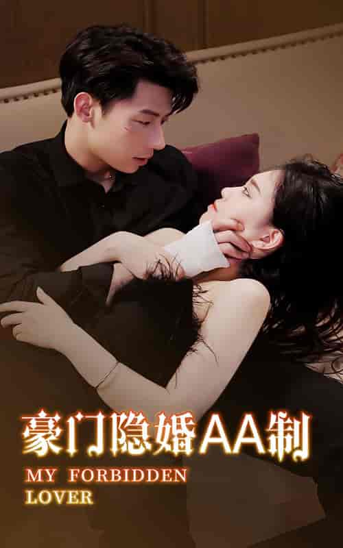 豪门隐婚AA制 豪门隐婚AA制
