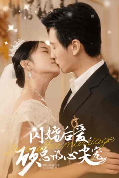 闪婚后爱，顾总的心尖宠（45集全）王寒阳 杨珞仟 - 傲图好剧