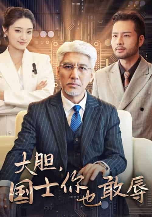 大胆，国士你也敢辱待改名（30集全）林振国＆萧晴川 - 傲图好剧