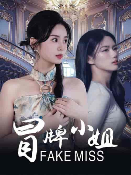 冒牌小姐（32集全） - 傲图好剧