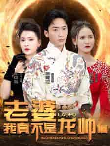 老婆我真不是龙帅啊（95集）杨洁＆游雅＆赵琪琪 - 傲图好剧