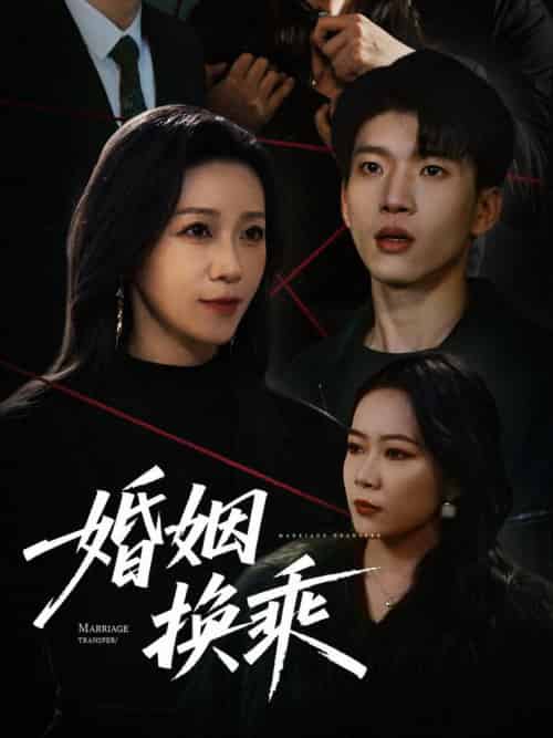 婚姻换乘（60集全）鞠瑾 - 傲图好剧