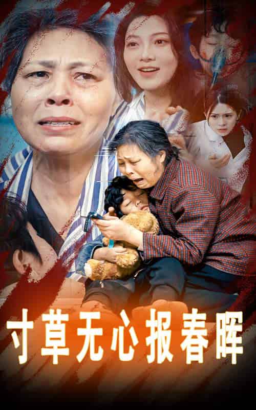 寸草无心报春晖＆孝子慈孙（31集全） - 傲图好剧