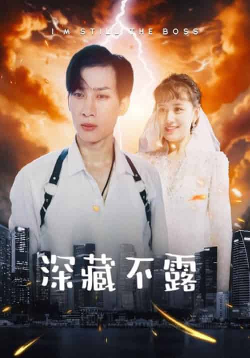 深藏不露（100集全）杨战＆白若溪 - 傲图好剧