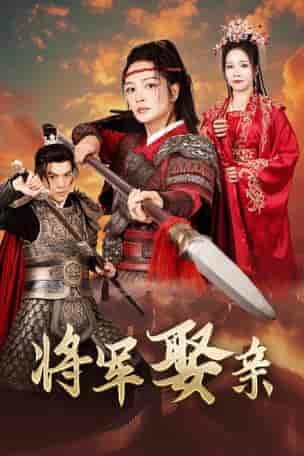 将军娶亲（36集全） - 傲图好剧