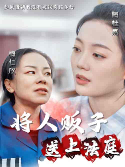 将人贩子送上法庭（30集全） - 傲图好剧