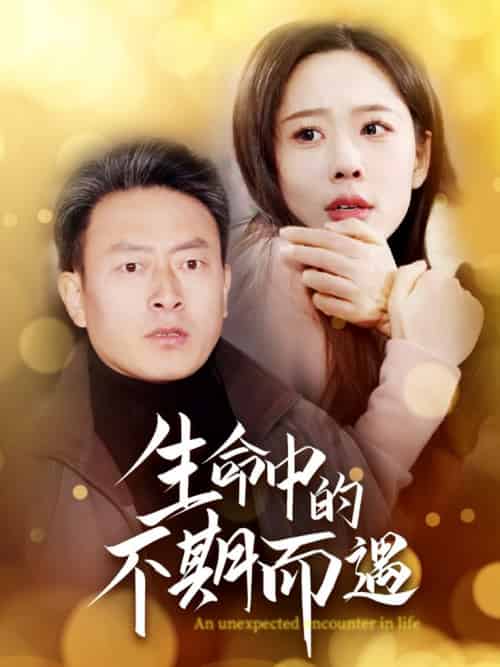生命中的不期而遇（35集全） - 傲图好剧