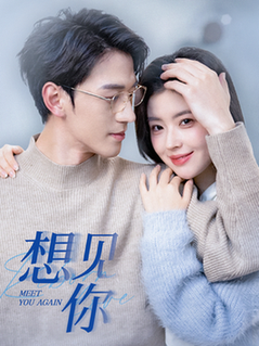 想见你（79集全）陈景赫＆熊安妮 - 傲图好剧
