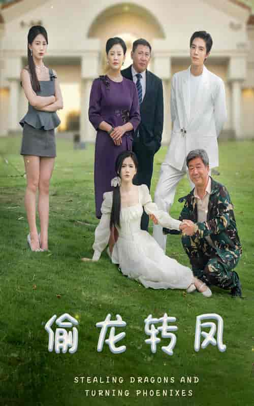 偷龙转凤（80集） - 傲图好剧