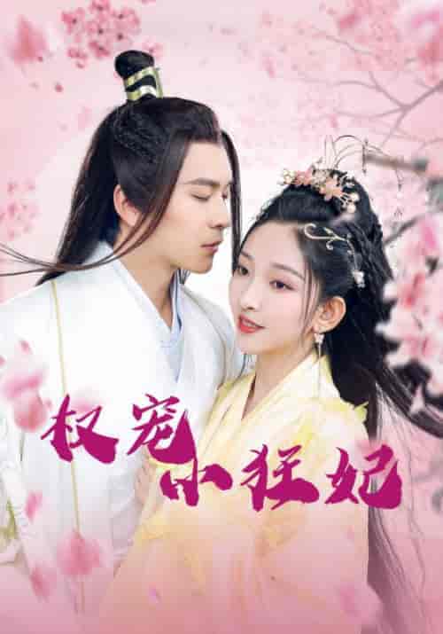 权宠小狂妃（32集全）八王爷＆段璎珞 - 傲图好剧