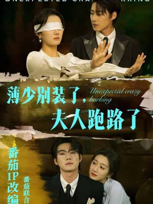 薄少别装了夫人跑路了（60集全）赵振栋＆柳卓青 - 傲图好剧