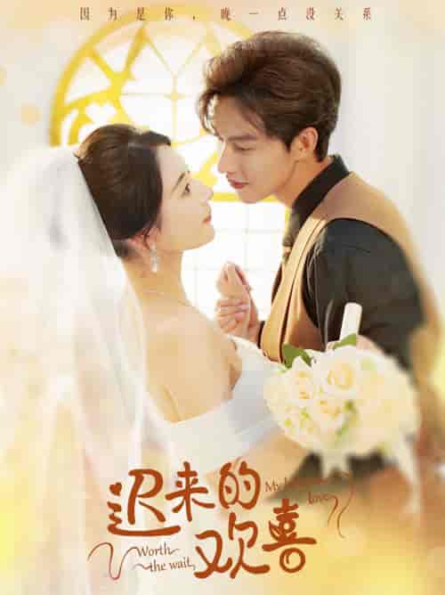 迟来的欢喜（81集全）闵杰＆秦天爱 - 傲图好剧