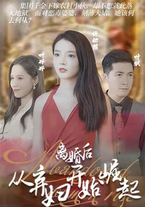 离婚后，从弃妇开始崛起（80集全）叶枫＆许幼薇 - 傲图好剧