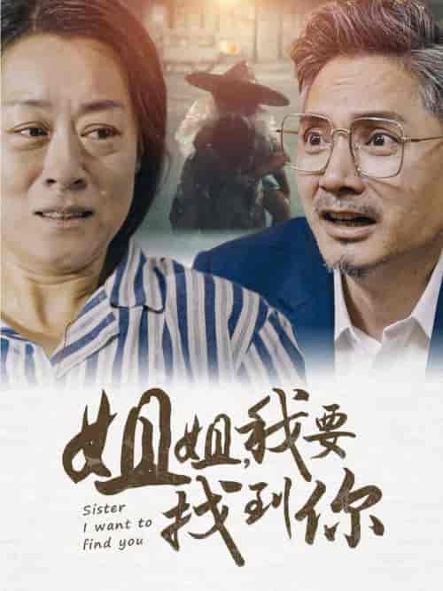 姐姐我要找到你（58集全） - 傲图好剧