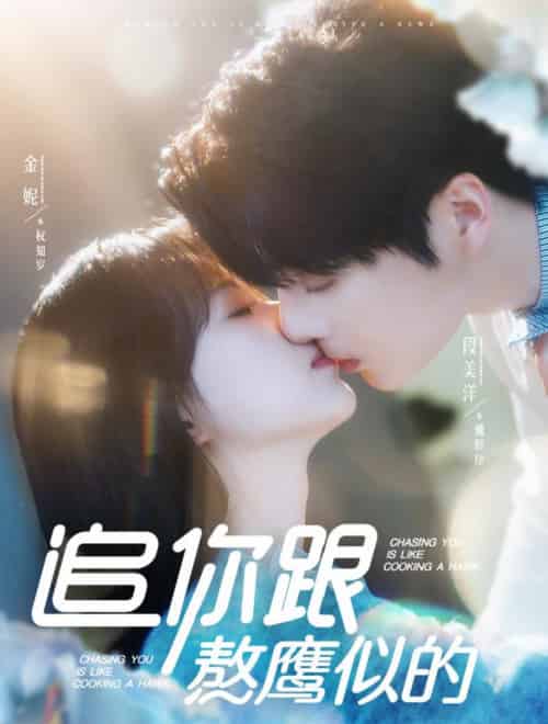 追你跟熬鹰似的（95集全）段美洋＆金妮 - 傲图好剧