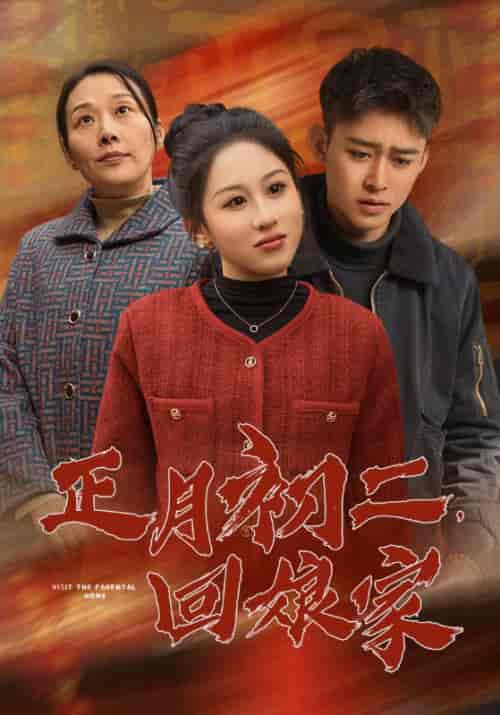 正月初二回娘家（41集全） - 傲图好剧